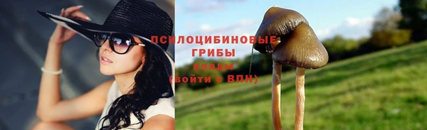 бошки Киреевск