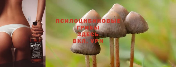 ALPHA-PVP Кинешма