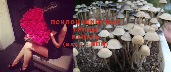 ALPHA-PVP Кинешма