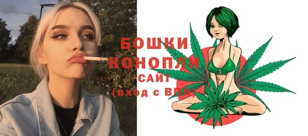 молекула духа Киренск