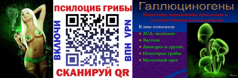 Псилоцибиновые грибы Psilocybe  Купить  Мышкин 